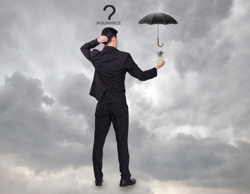 2013年產(chǎn)玉米種子出苗不佳的法律應(yīng)對措施